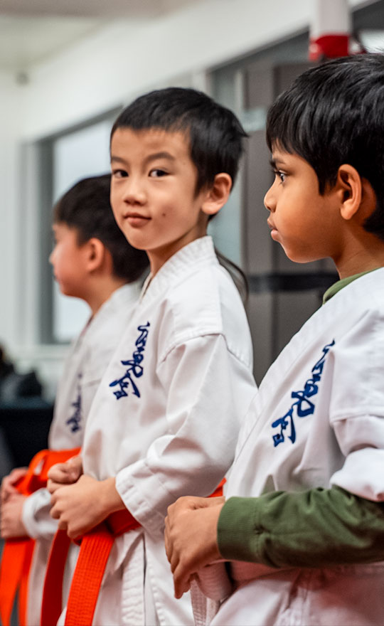 home-program-1 Karate classes