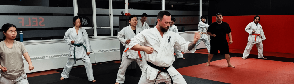 Karate lessons