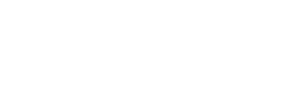 Modern Warrior Logo